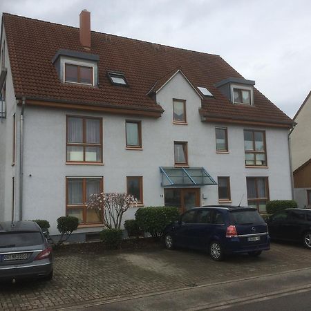 Orschweier Ferienwohnung Lavate 2 מראה חיצוני תמונה