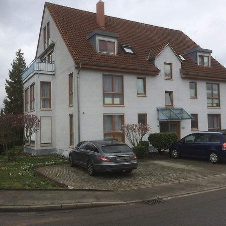 Orschweier Ferienwohnung Lavate 2 מראה חיצוני תמונה